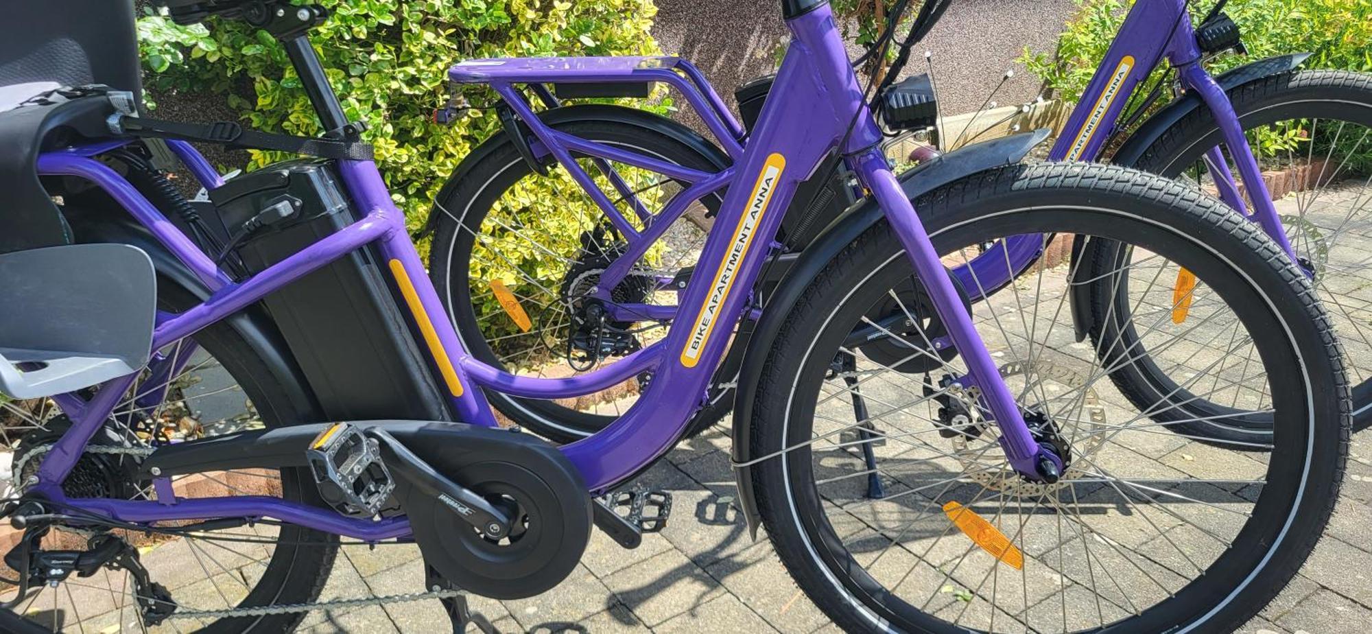 Zwei Schlafzimmer Ferienapartment Anna Am Stubenbergsee Inklusive Vier E-Bikes Luaran gambar